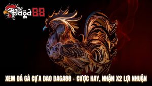 Xem Đá Gà Cựa Dao Daga88 - Cược Hay, Nhận X2 Lợi Nhuận