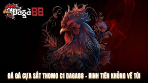 Đá gà cựa sắt Thomo C1 Daga88