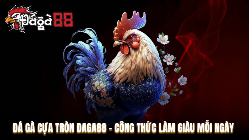 Đá Gà Cựa Tròn Daga88 - Công Thức Làm Giàu Mỗi Ngày
