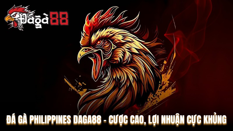 Đá gà Philippines Daga88 - Cược Cao, Lợi Nhuận Cực Khủng
