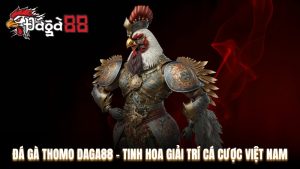 Đá gà Thomo Daga88 - Tinh hoa giải trí cá cược Việt Nam