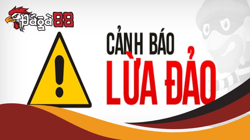 Nguyên nhân dẫn đến tin đồn Đá Gà 88 lừa đảo