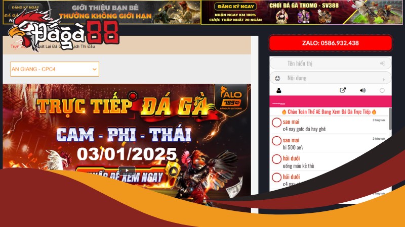 Thông tin cược thủ cần biết về nhà cái Đá Gà 88